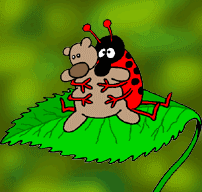 beruška.gif